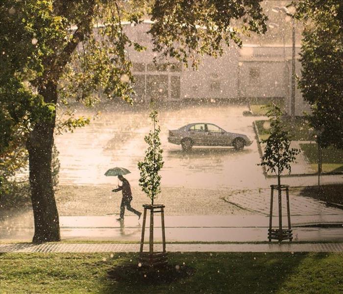 Man holding umbrella jogs past a white car in the rain