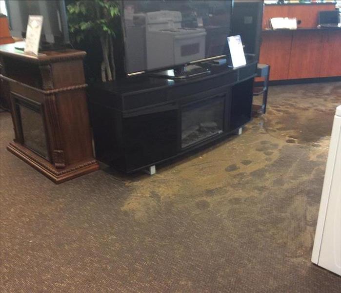 Brown sewage on the carpet in front of a TV stand